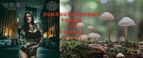герыч Каменка